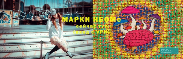 сатива Алексеевка