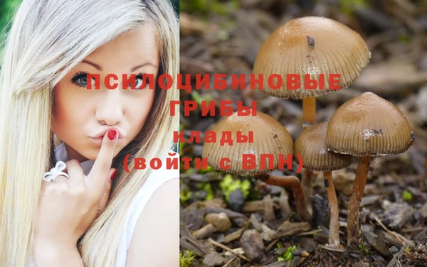 сатива Алексеевка